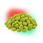 The Reseller Bulk Pack: Bulk Δ8 Gummies 25 mg (500 ct) + Complimentary Pea Protein & Magnesium Powder
